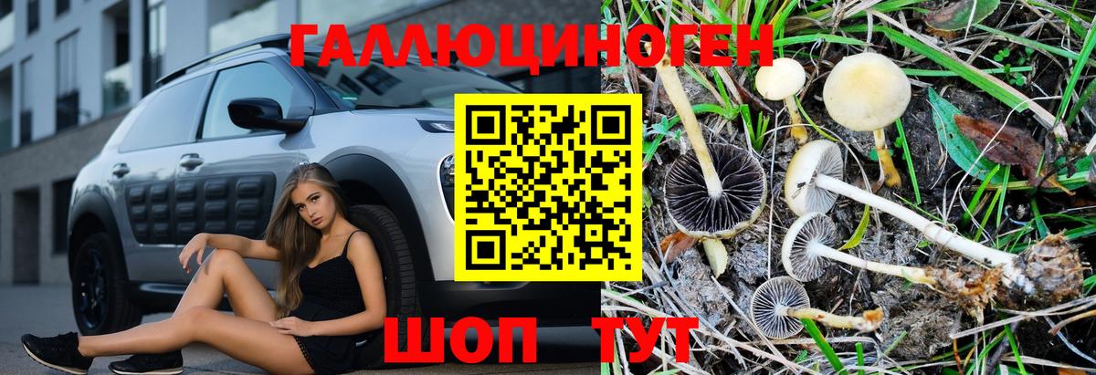 Россошь  Псилоцибиновые грибы GOLDEN TEACHER  Вход с VPN 